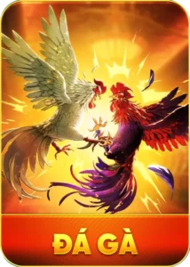icon đá gà
